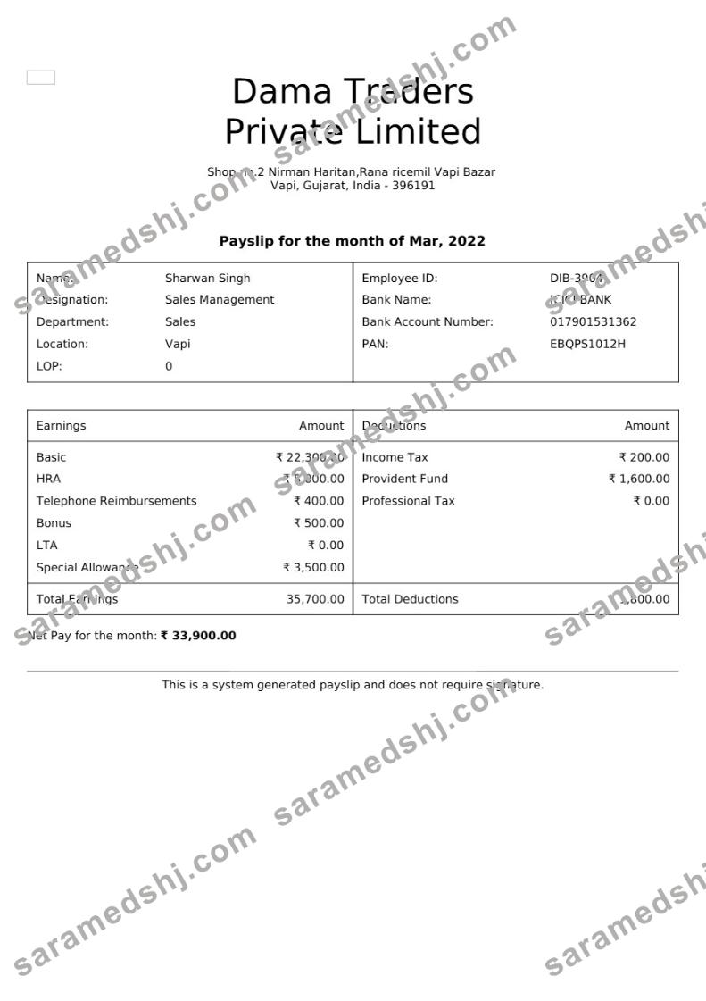 Dama Traders payslip template in Word and PDF formats.pdf, 1